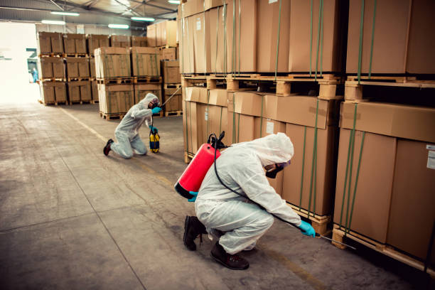 Best Wasp Removal Services  in , NJ