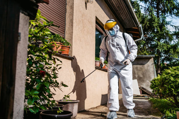 Best Pest Control Treatment  in , NJ