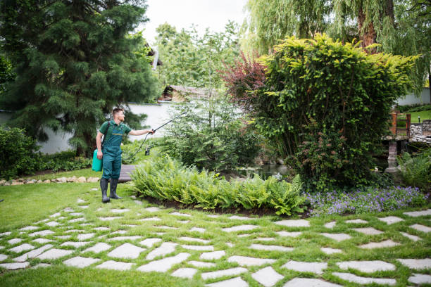 Best Mosquito Control Services  in , NJ