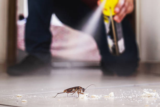 Best Pest Prevention Services  in , NJ